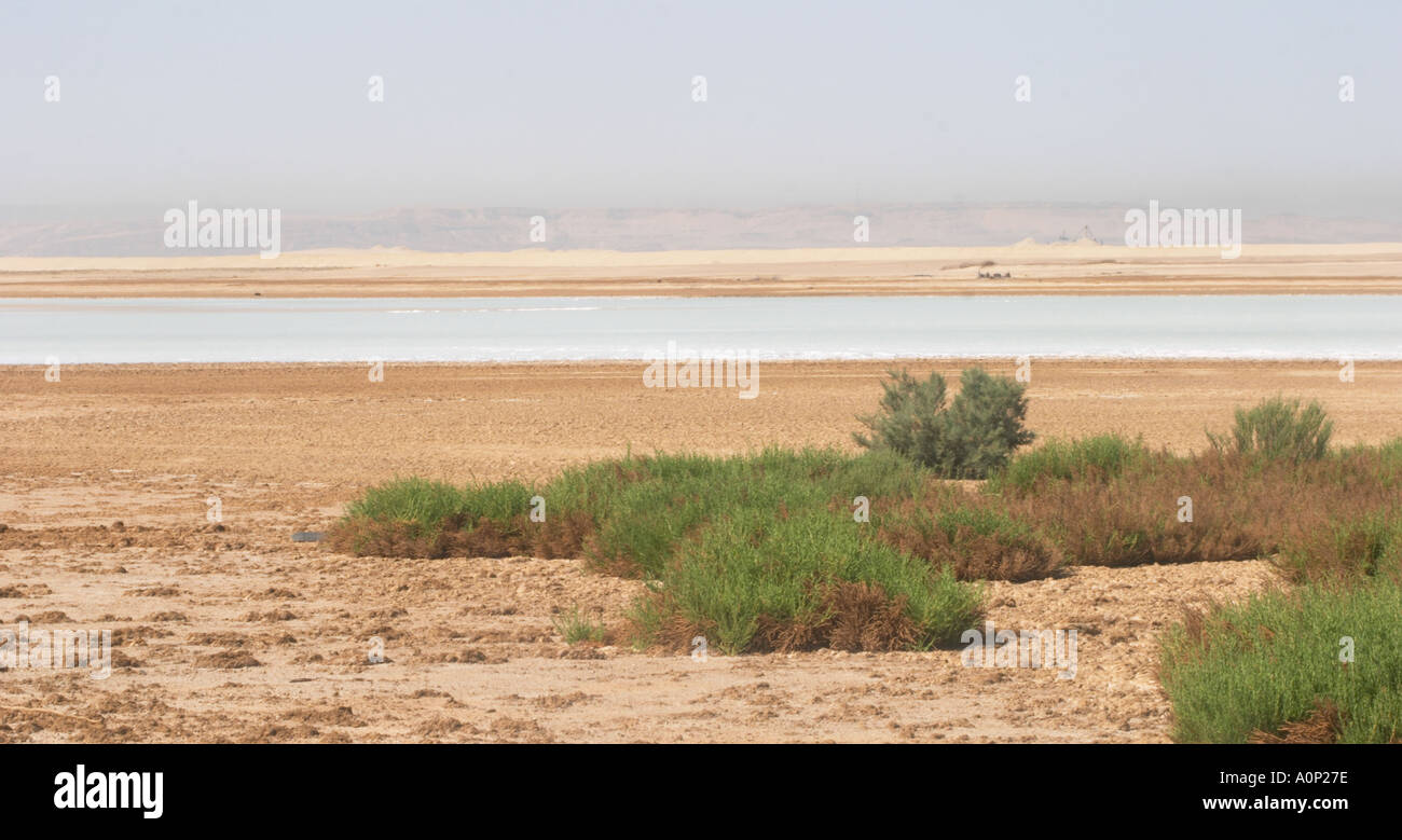 A land locked salt water lake near Egypt s Bittter Lakes Stock Photo