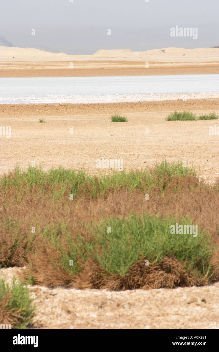 A land locked salt water lake near Egypt s Bittter Lakes Stock Photo