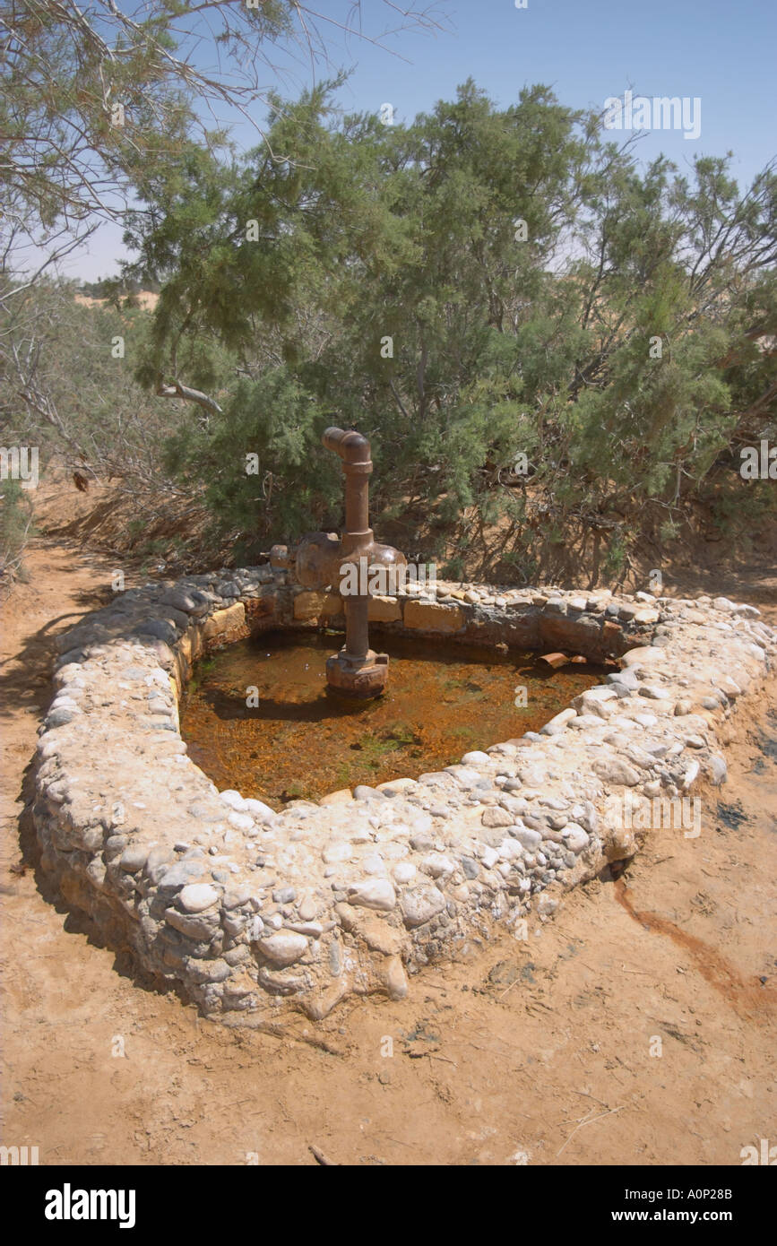 Ain Moussa The Springs of Moses in Sinia Egypt Stock Photo