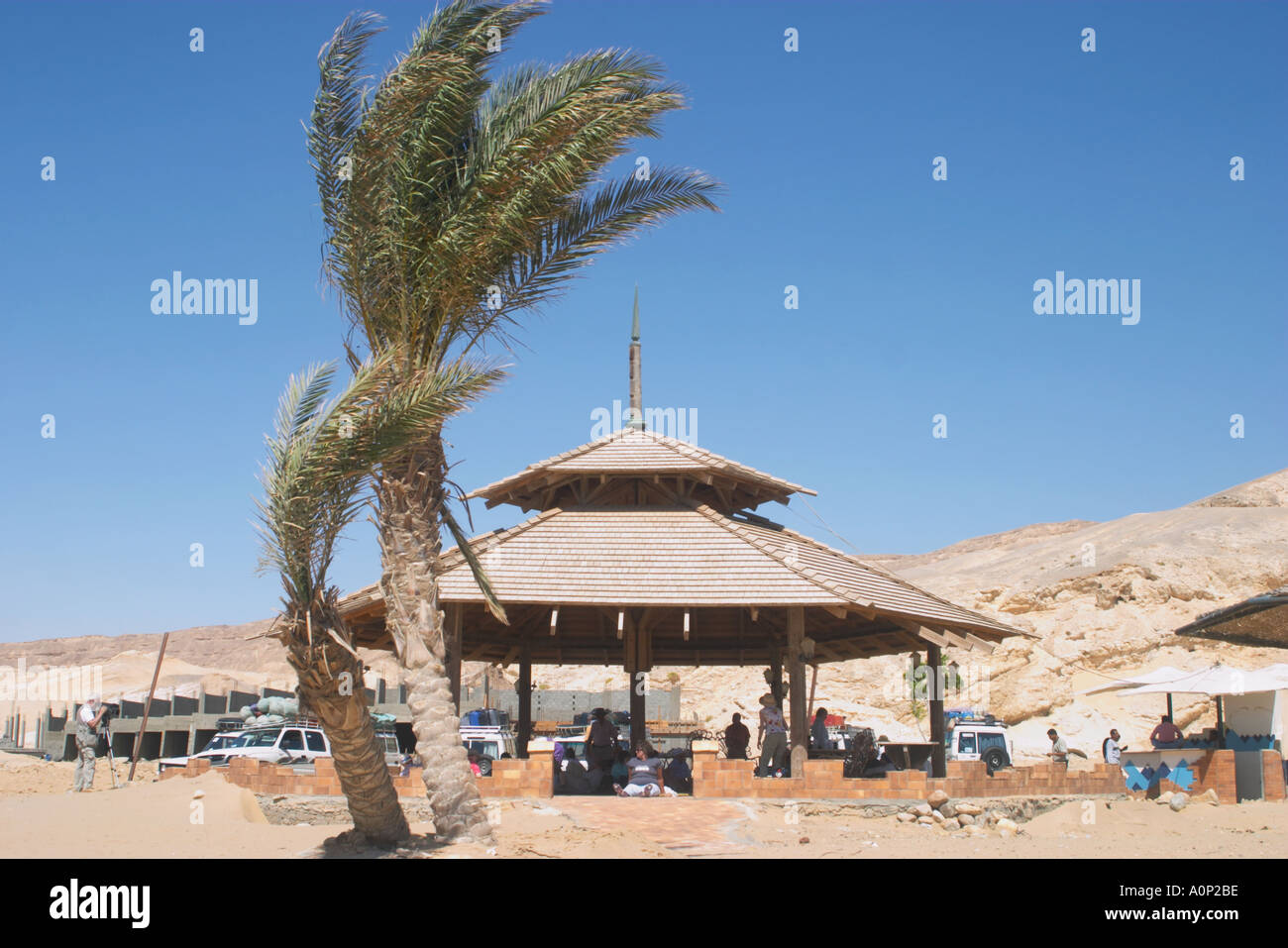 A palm tree and bandstand on the beach at Hamam Faraon Pharaoh s Hot Springs the Red Sea Western Sinai Egypt Stock Photo