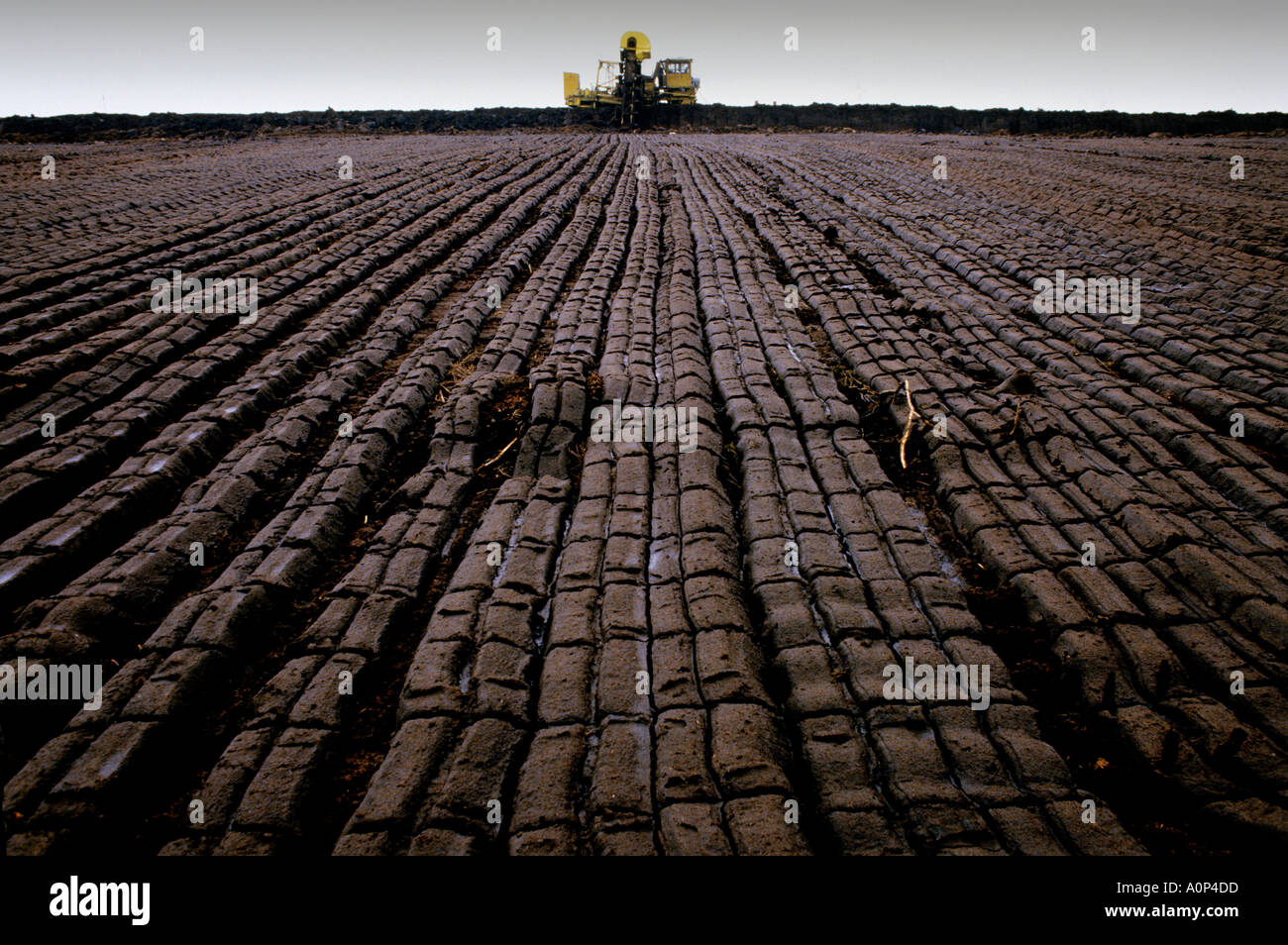 IRELAND PEAT DIGGING IN THE WEST OF THE IRISH REPUBLIC COPYRIGHT Stock