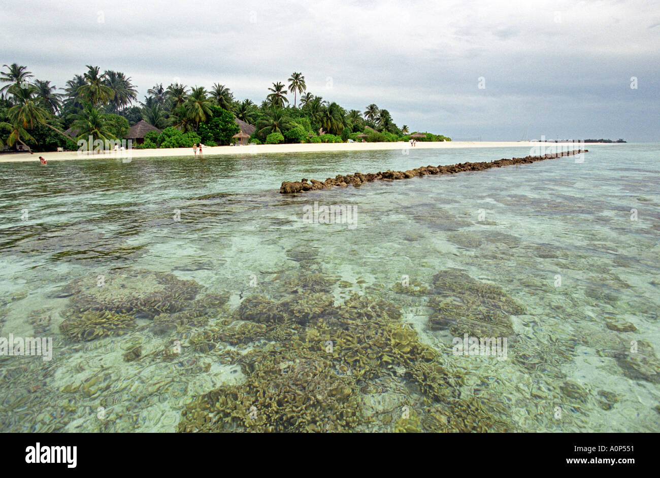 Beach sand erosion maldives hi-res stock photography and images - Alamy