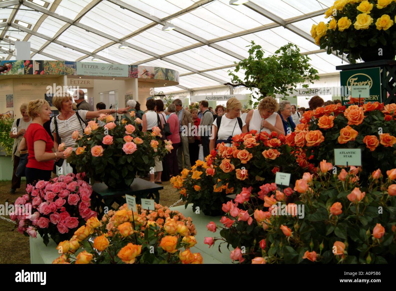 Hampton Court Palace Flower Show Festival of Roses Marquee. London