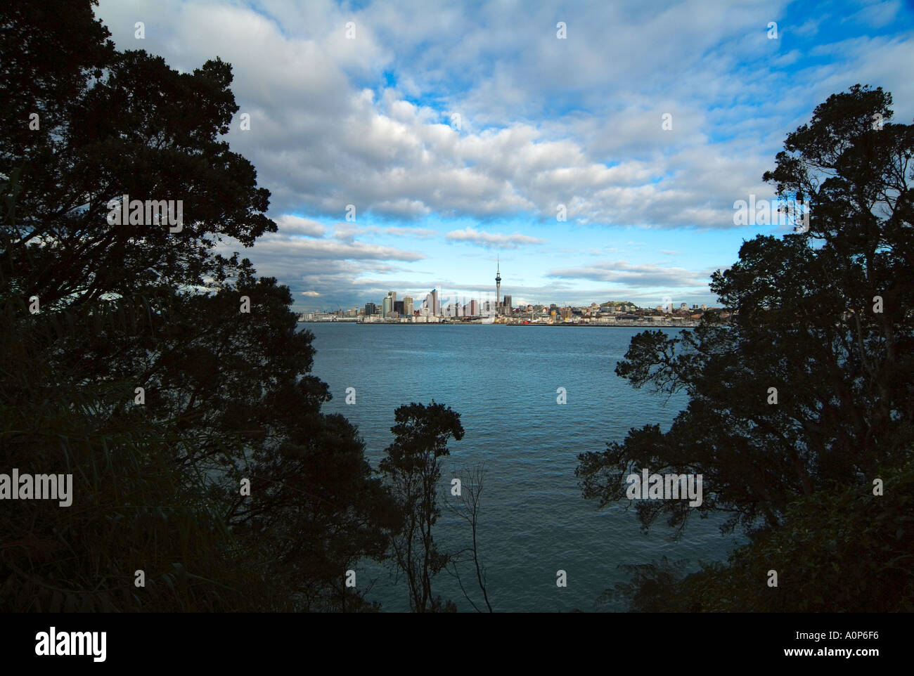 Auckland City from Northcote Point North Shore Auckland new Zealand ...