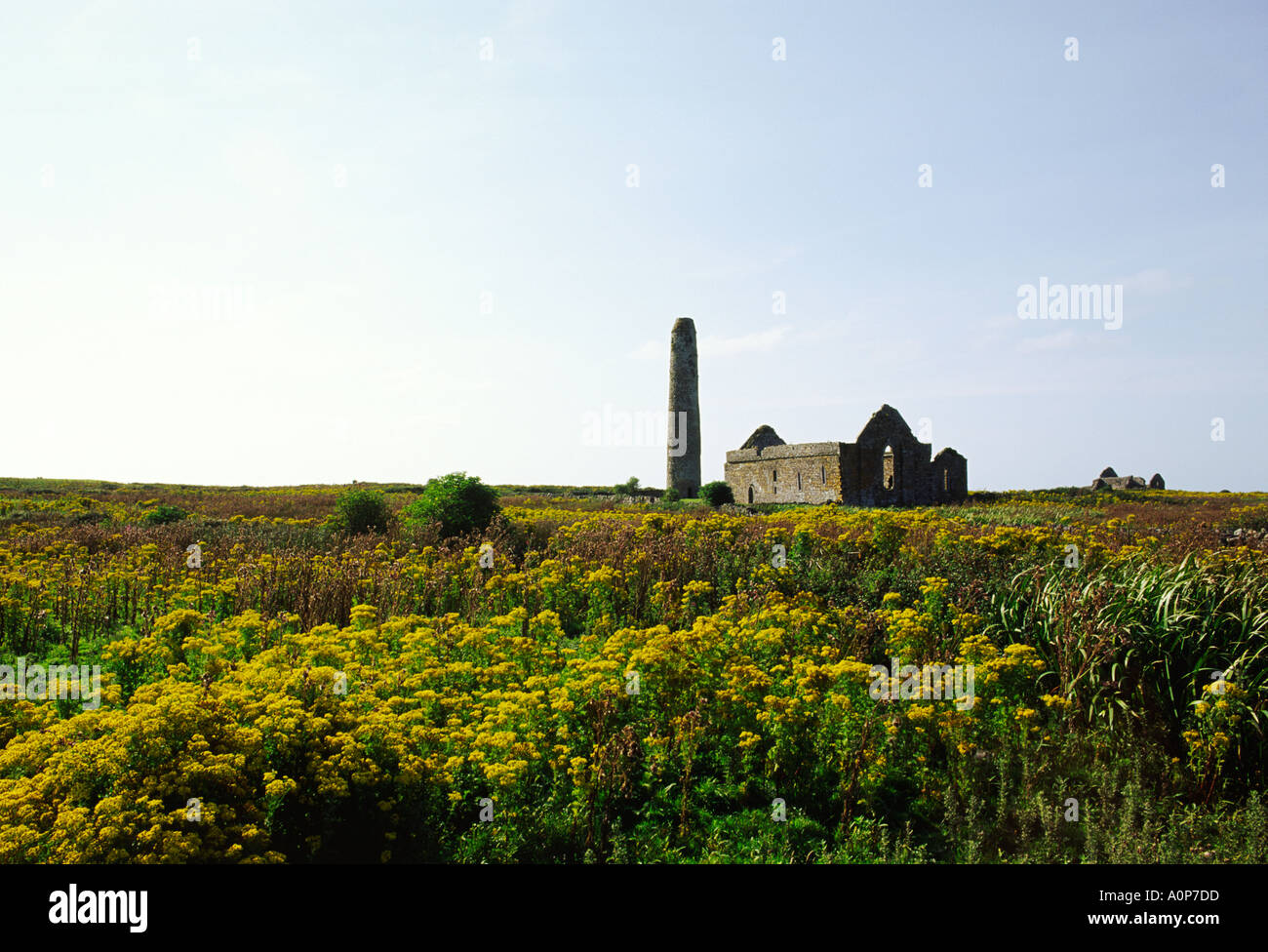 Ireland Scattery Island County Clare Celtic Christian Saint Senans Cathedral and round tower Temple Senan in far distance Stock Photo