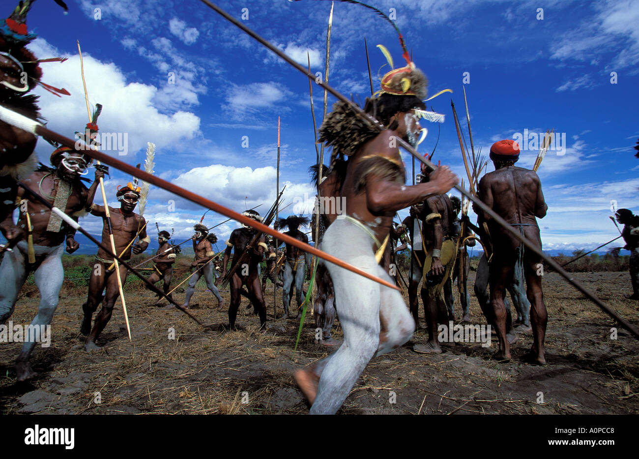 indonesia irian jaya baliem valley war dance Stock Photo