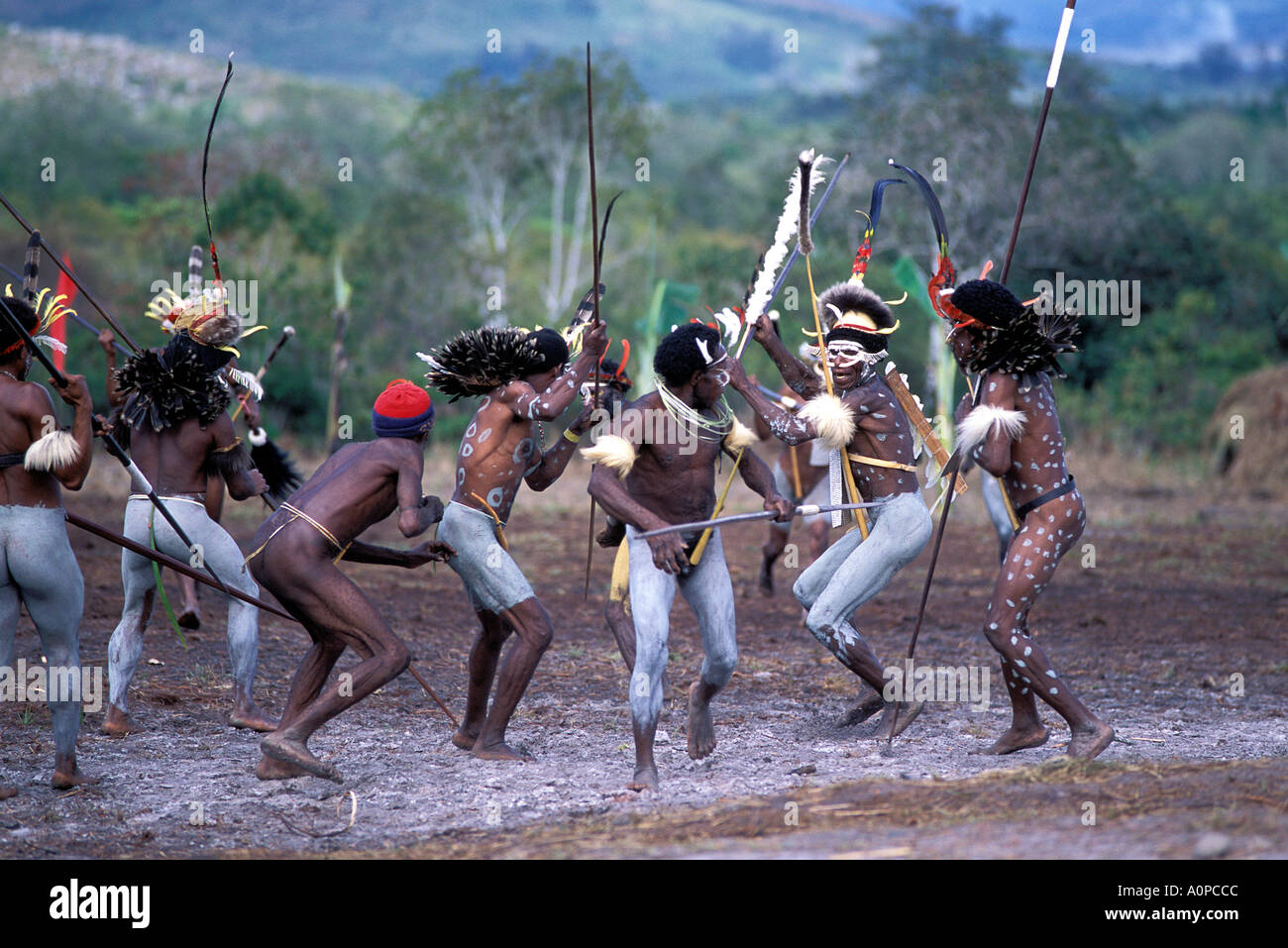 indonesia irian jaya baliem valley fighting scene Stock Photo