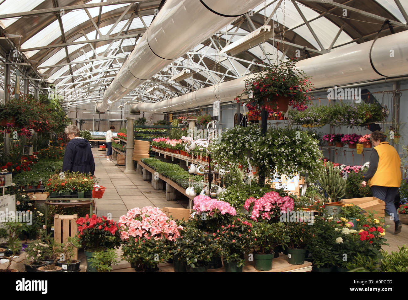 Commercial Greenhouse Edmonton Alberta Stock Photo Alamy