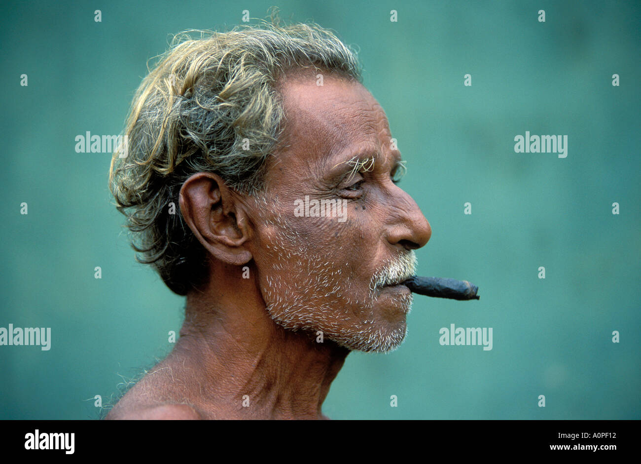 Elderly man smoking cigar Sri Lanka Stock Photo Alamy