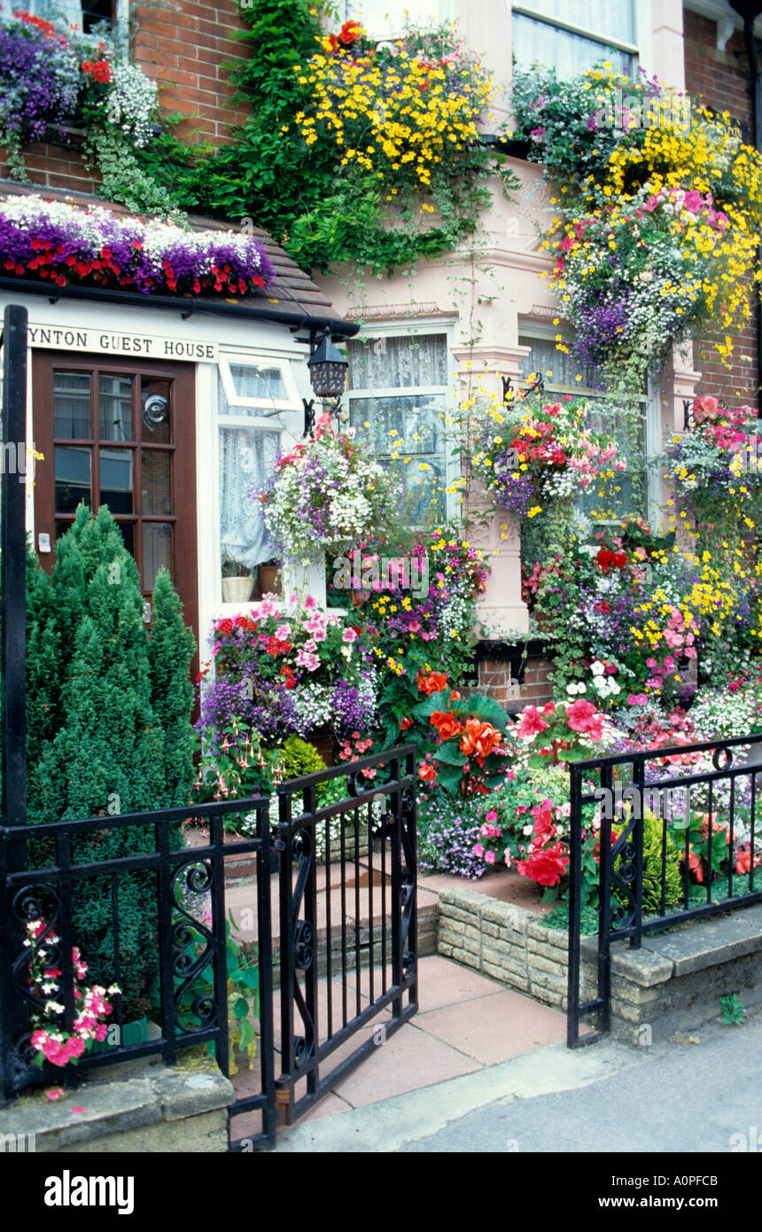 Guest House bed and breakfast at Petersfield ,west sussex ,England ,UK, Famous annual floral windowbox display Stock Photo