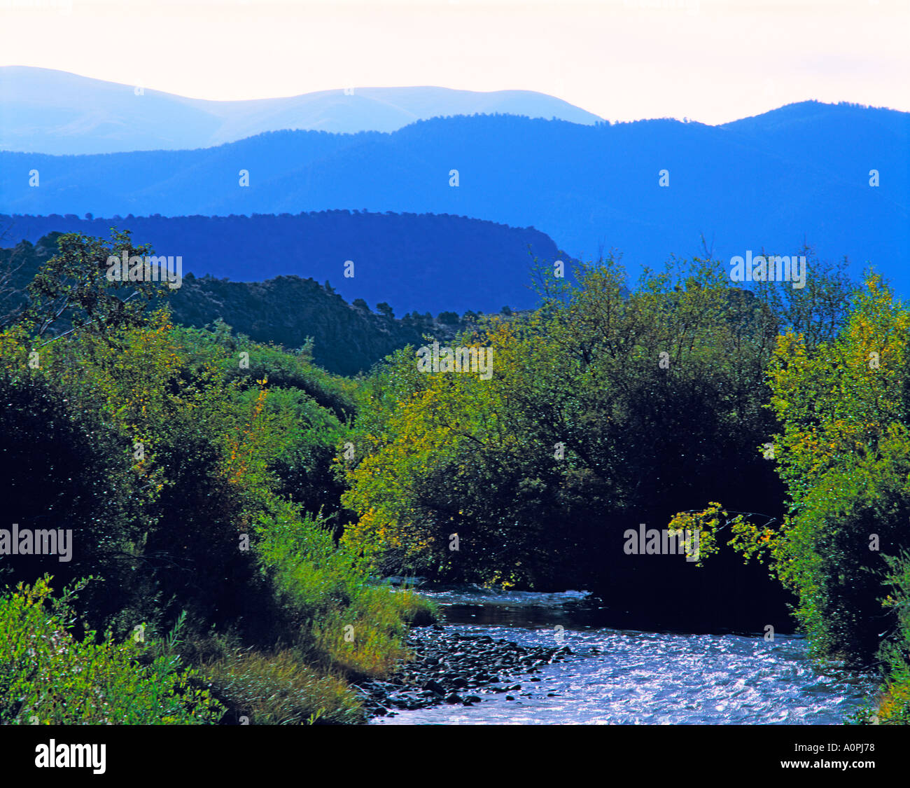 My Image 6