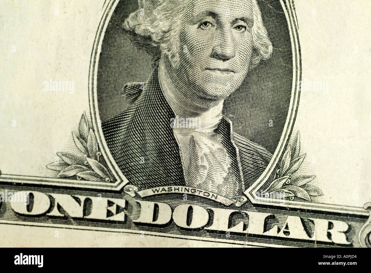 Dollar Bill, Close Up. Stock Photo