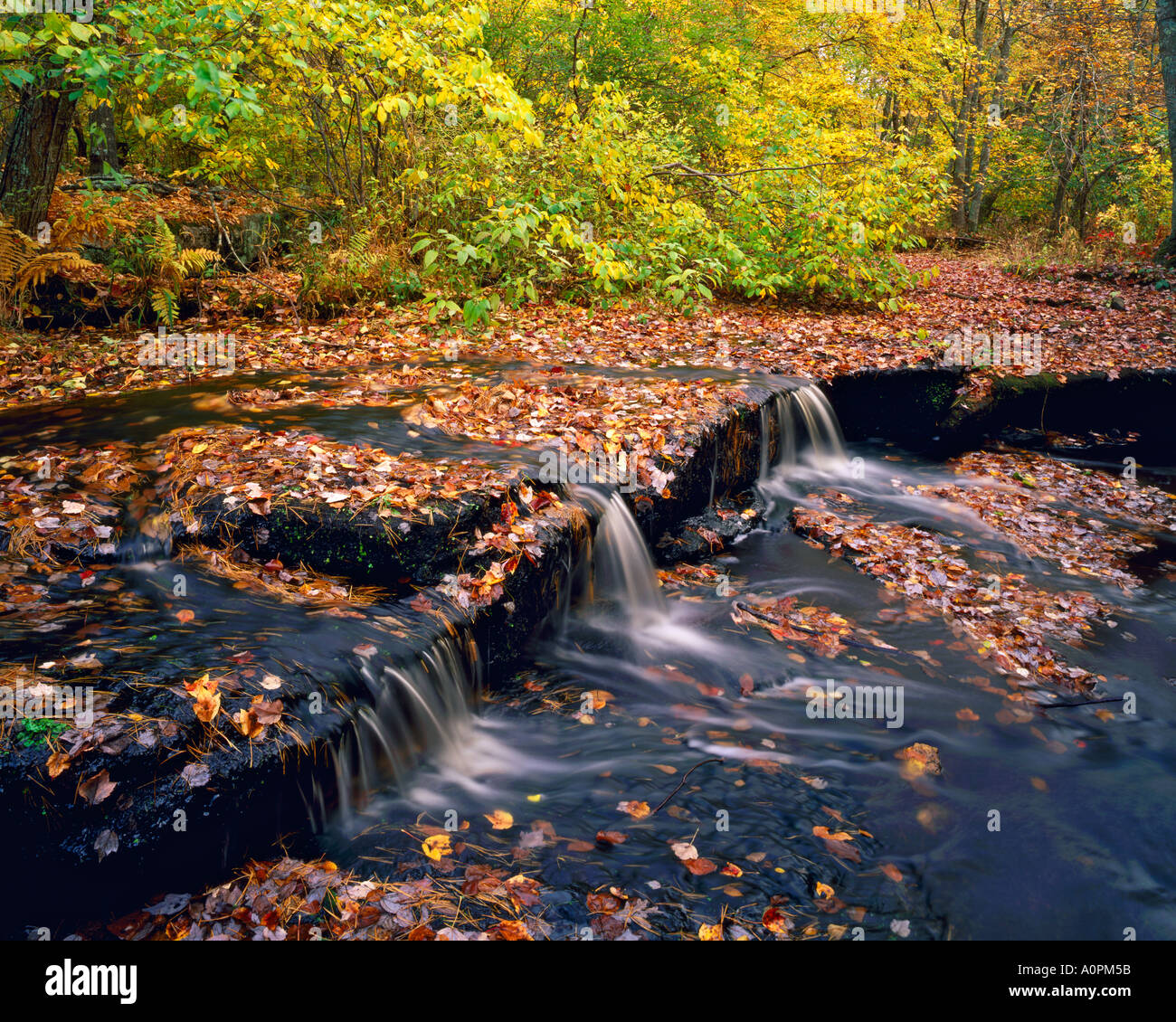 Autumn at Stepstone Falls Ben Utter Trail Arcadia Management Area Rhode