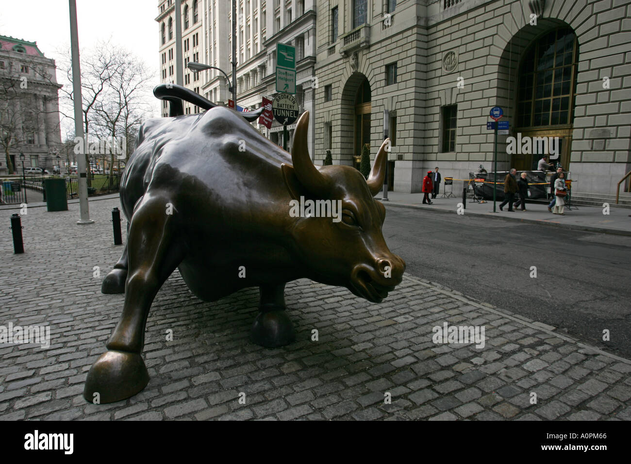 Life size bronze cow statue in downtown central New York City a new