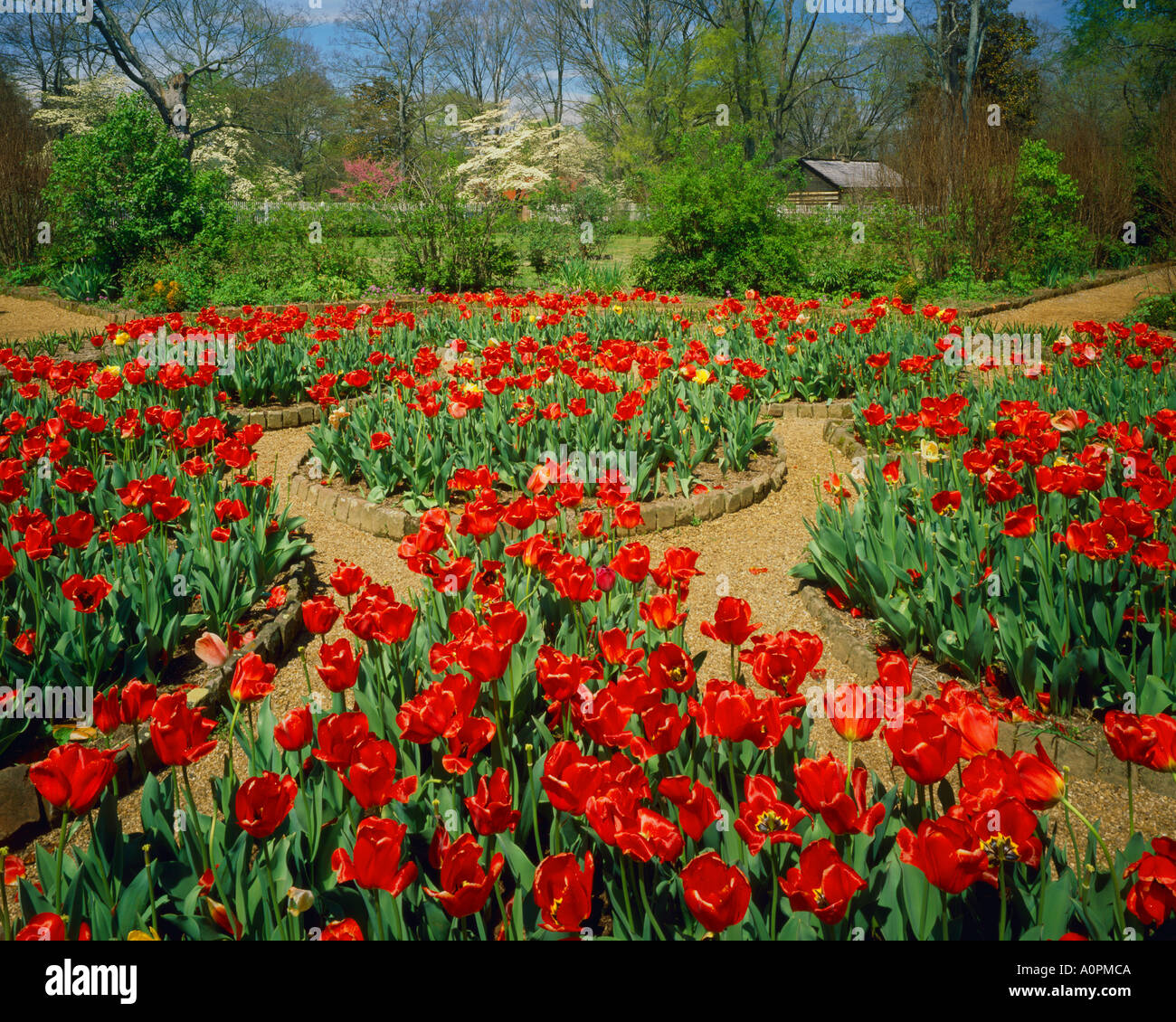 Andrew jackson hermitage hi-res stock photography and images - Alamy