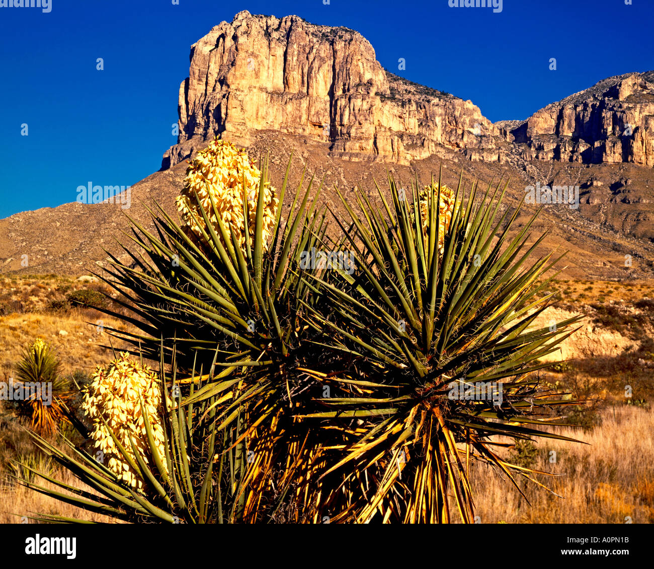 Guadalupe Peak Guadalupe Mountains National Park Texas Stock Photo