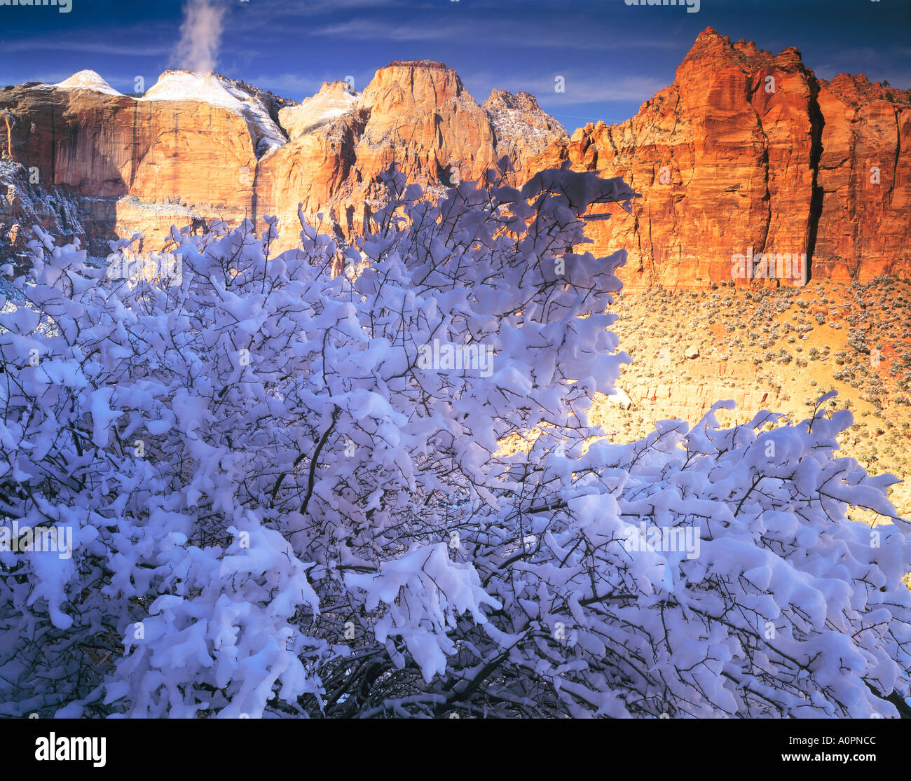 Snow Zion Peaks Zion National Park Utah Stock Photo