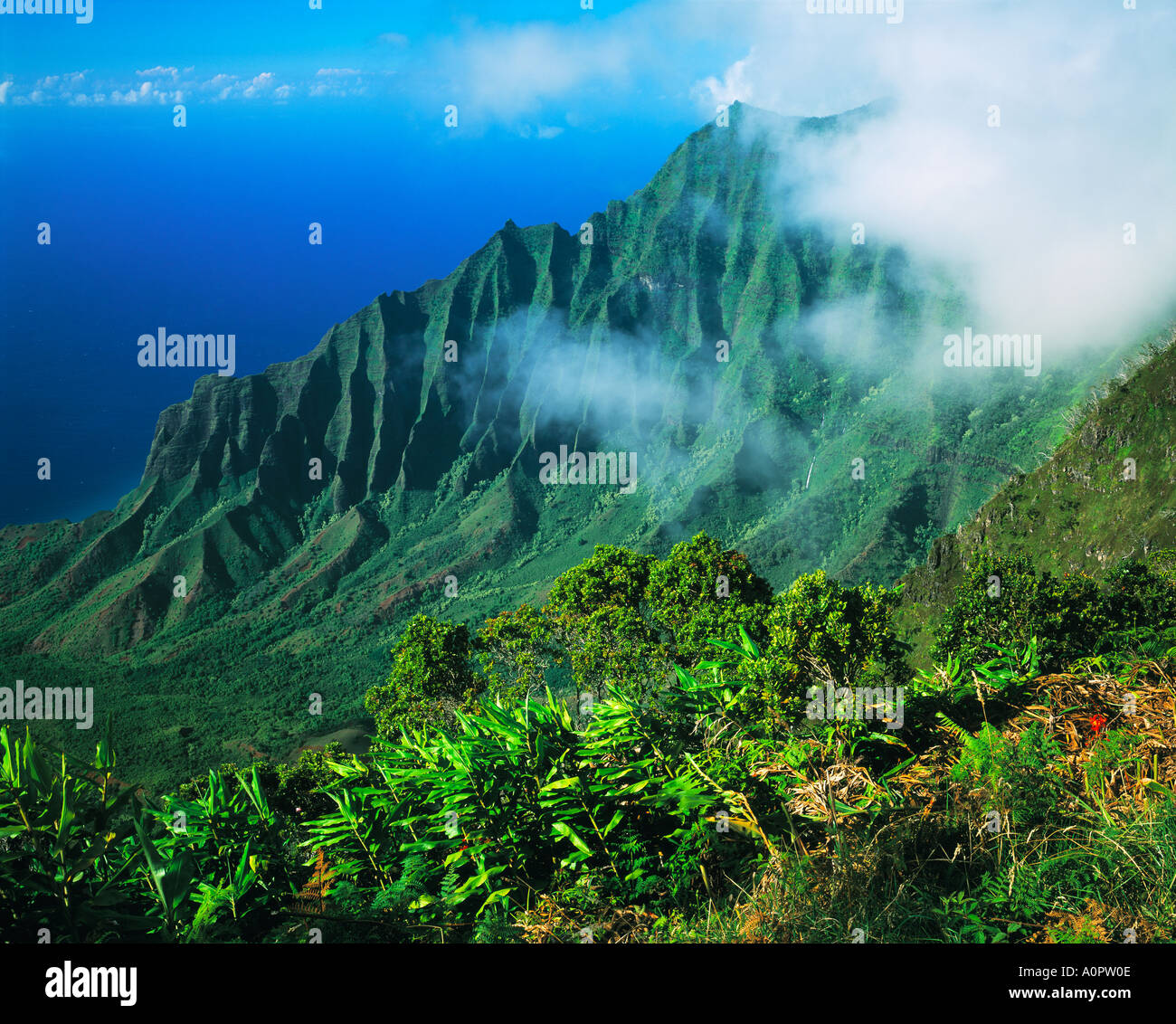 Kalalau Lookout View Kokee State Park Island of Kauai Hawaii Stock
