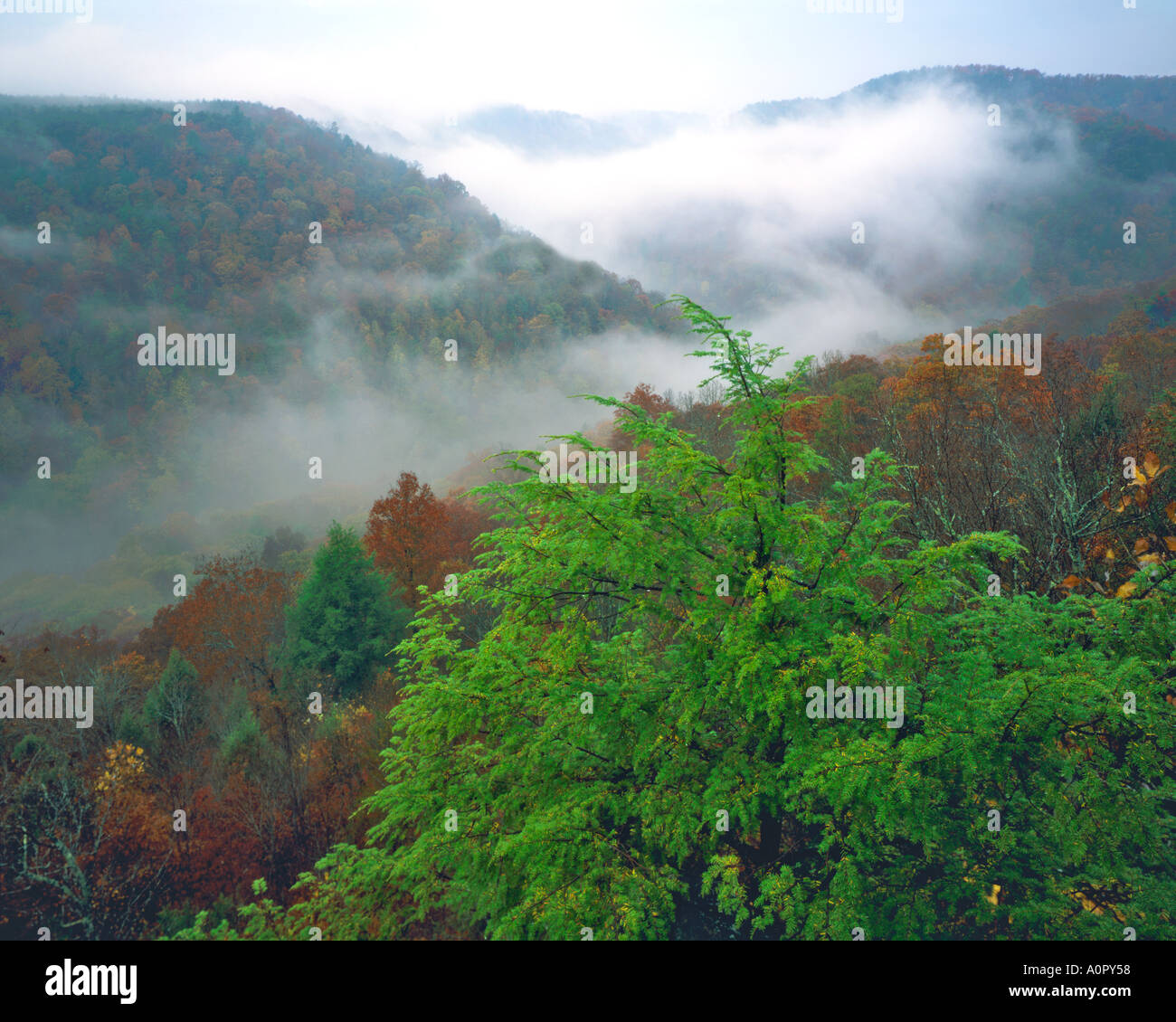 Autumn Storm Along the Cumberland River Gorge Big South Fork National River Recreation Area Kentucky Stock Photo