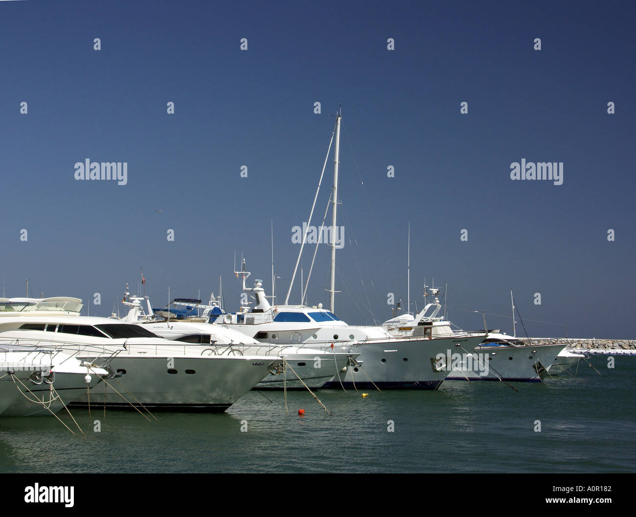 Pleasure Boats Puerto Banus Costa del Sol Spain Boat boats yacht yachts moored mooring moorings