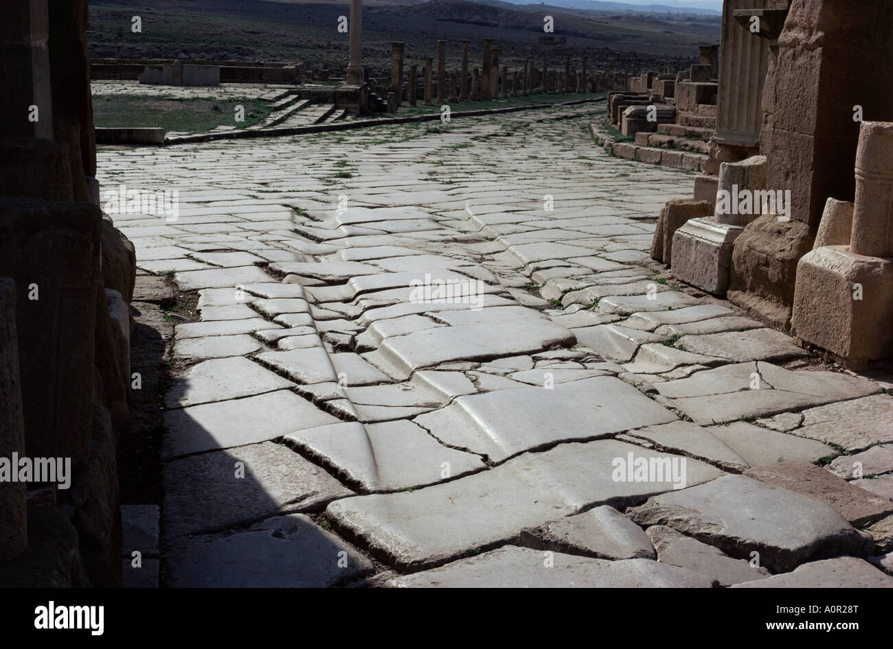 Chariot wheel ancient hi-res stock photography and images - Alamy