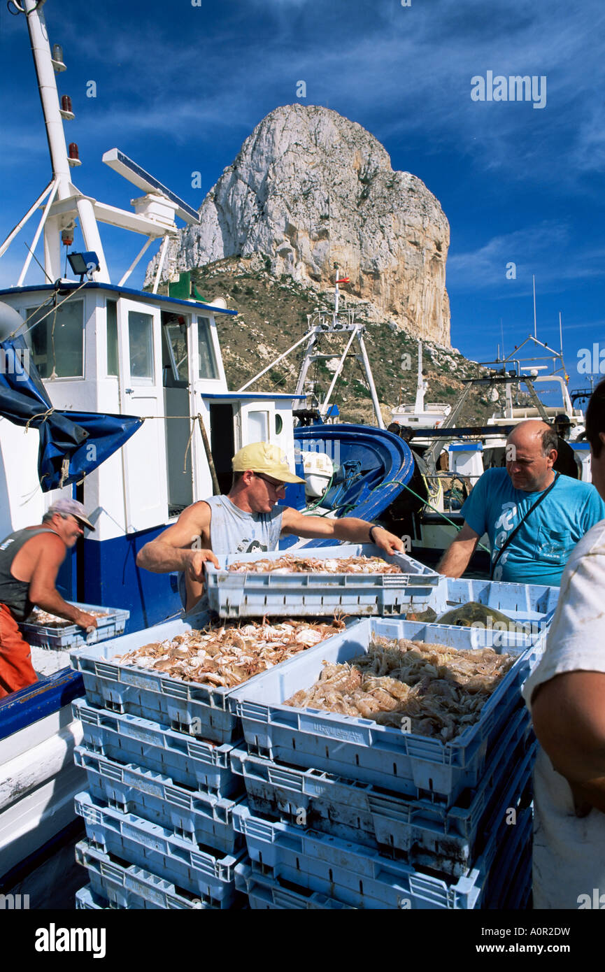 Fish being landed Calpe the Penyal d Ifach Penon de Ifach towering ...