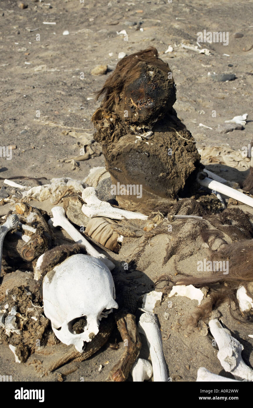 Human remains preserved over 500 years Chauchilla cemetery Nazca Peru South America Stock Photo