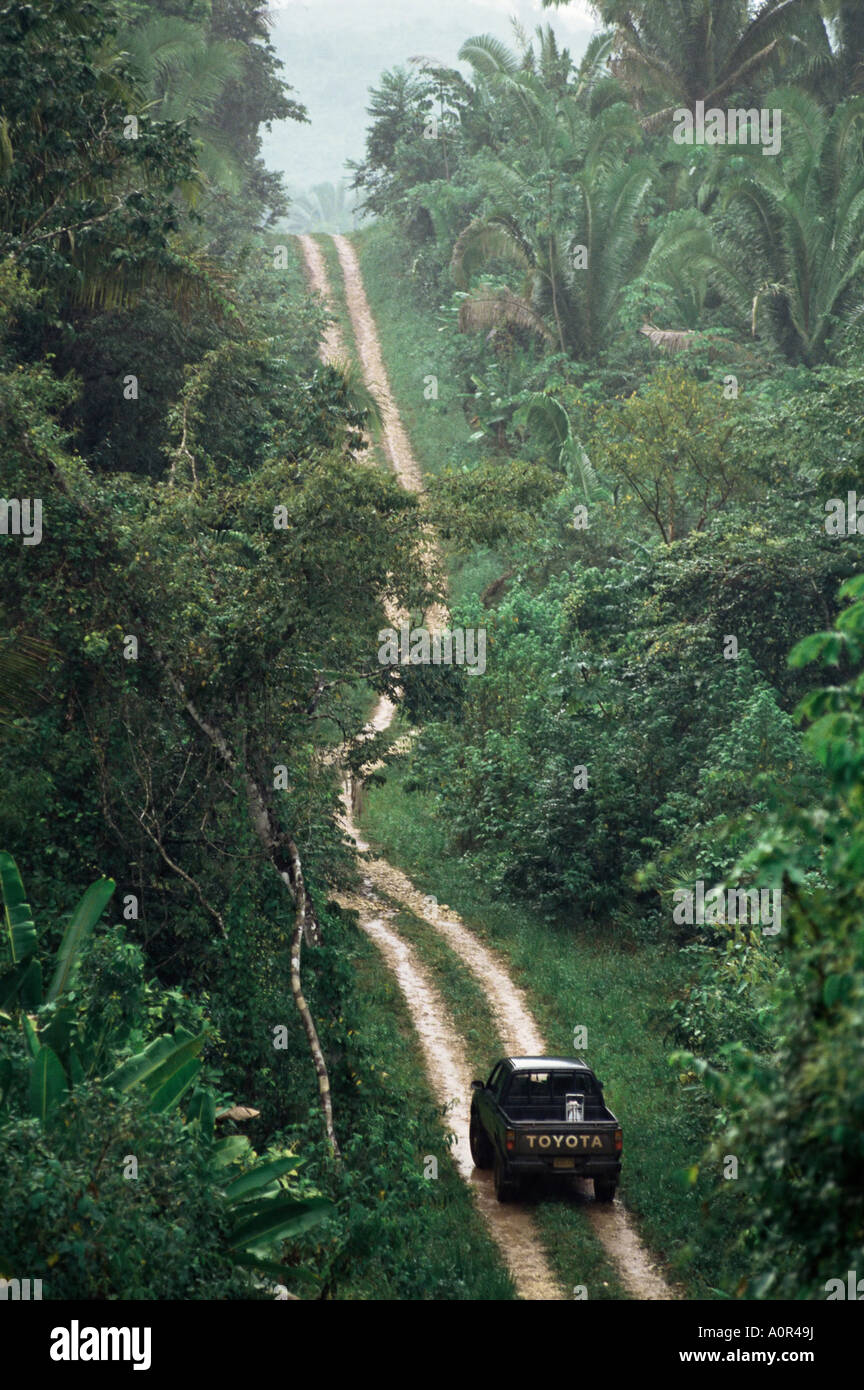 Driving in the rain forest Lubaantun Toledo District Belize Central America Stock Photo
