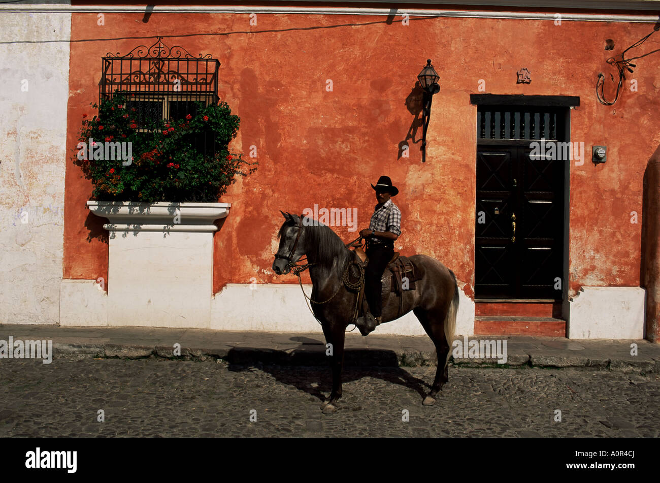 Man on horse in front of a typical painted wall Antigua Guatemala Central America Stock Photo