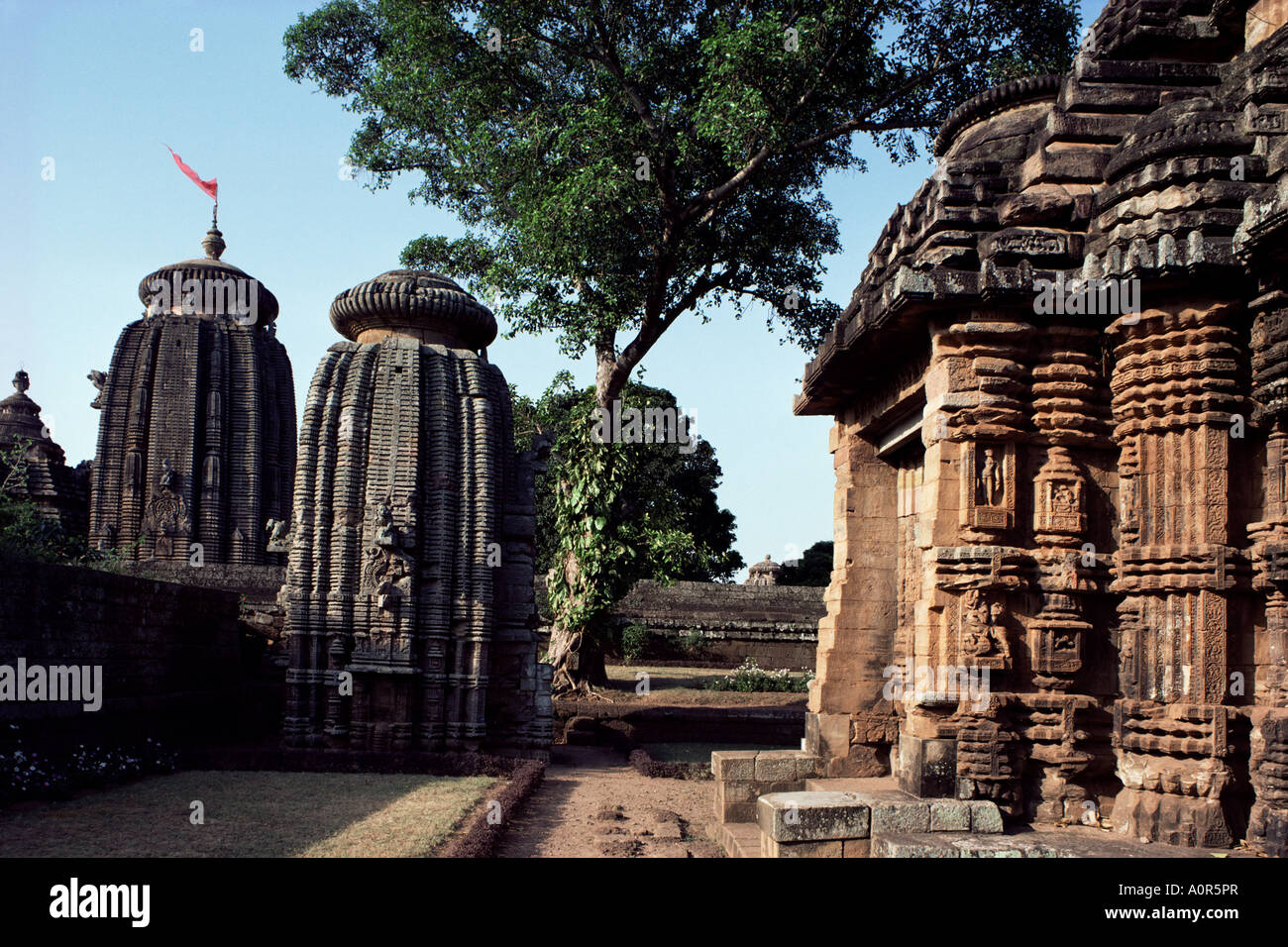 Lingaraj temple, bhubaneswar hi-res stock photography and images - Alamy Lingaraj temple, bhubaneswar hi-res stock photography and images - Alamy