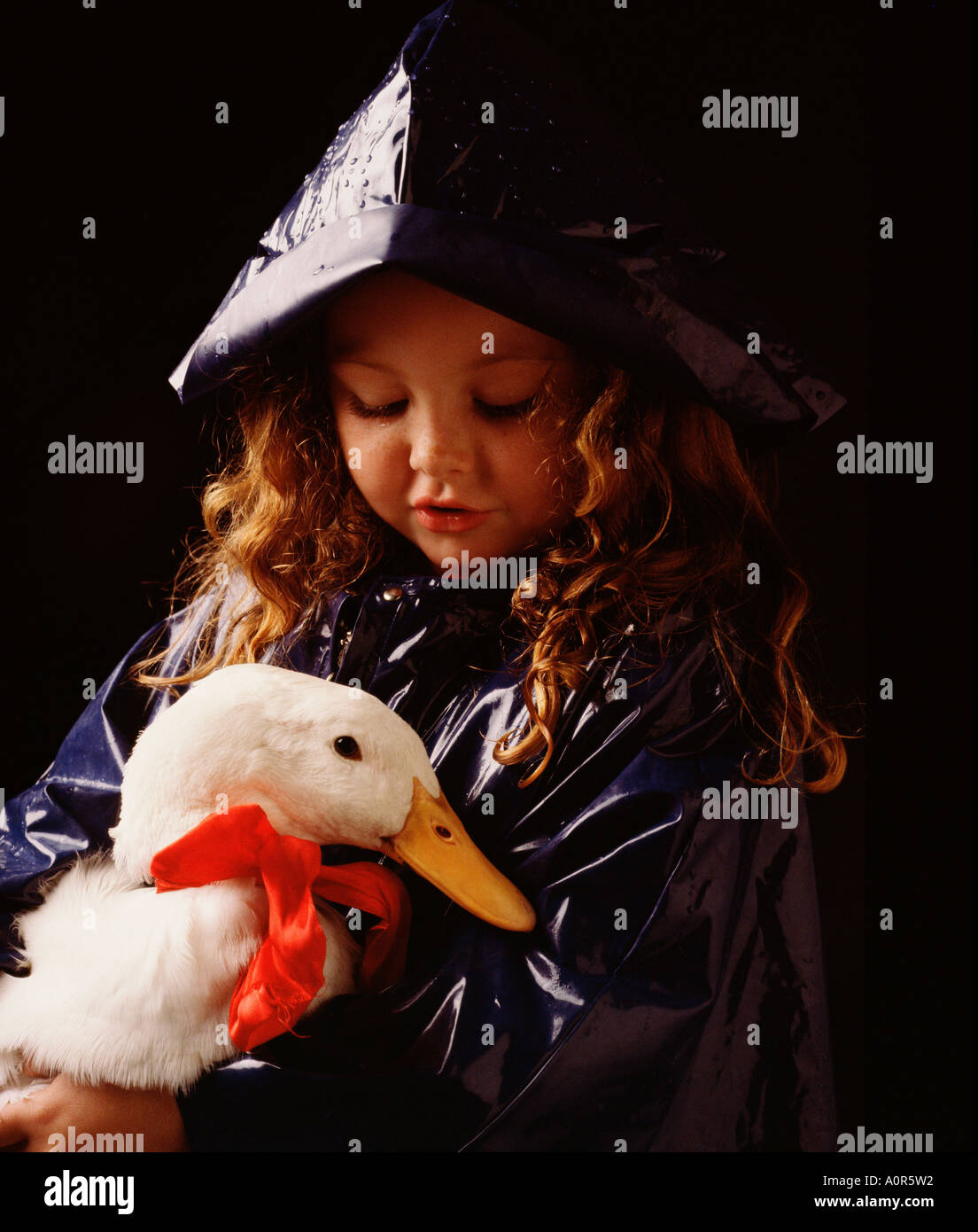 Studio portrait of child girl wearing raincoat and hat and holding a white duck. Stock Photo