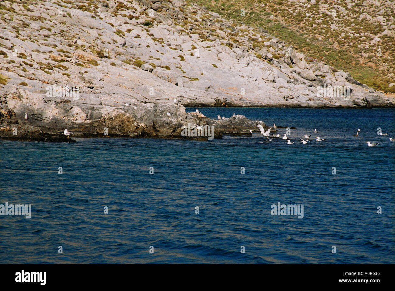 Dia Island, Crete Stock Photo - Alamy