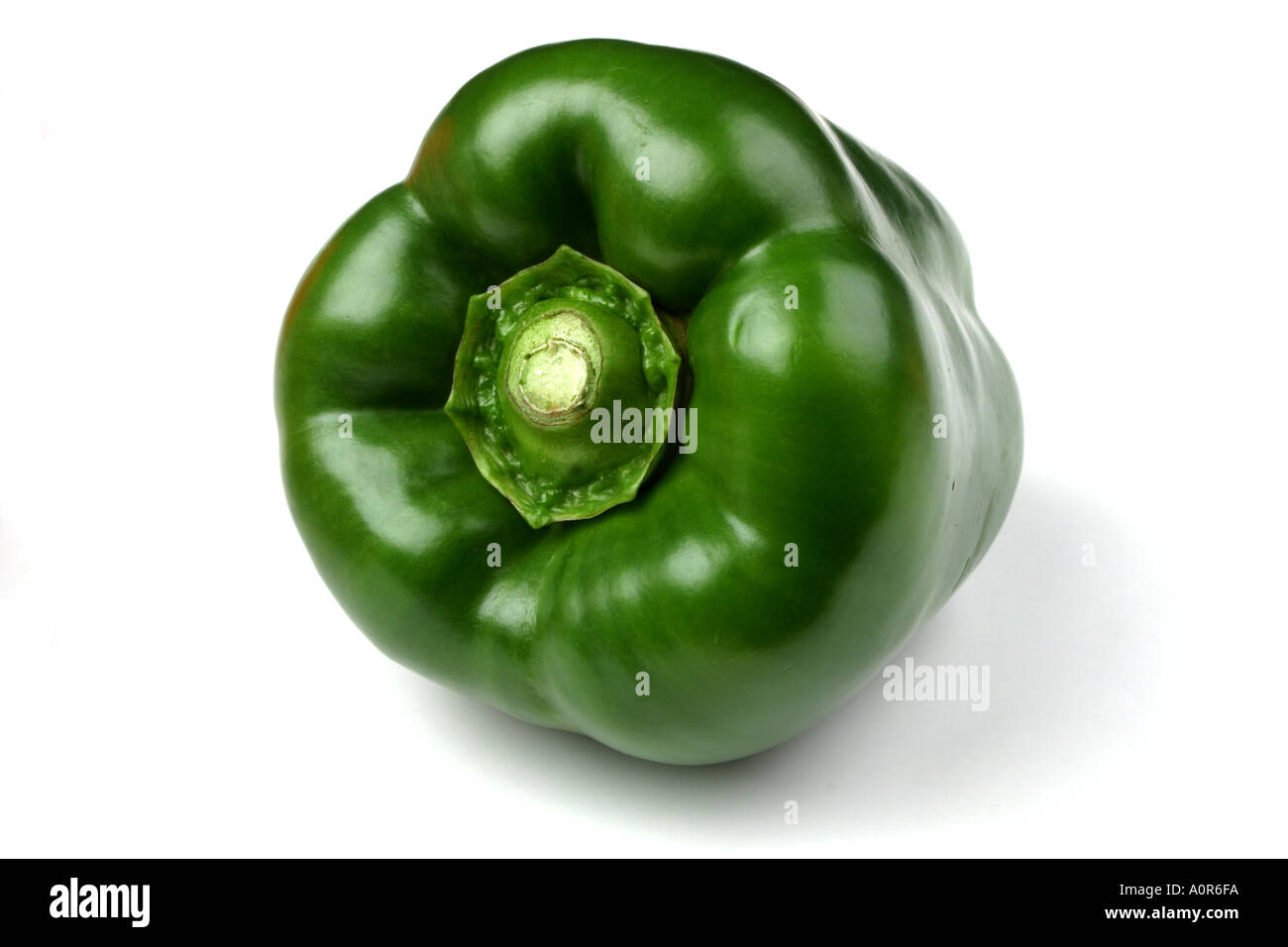 Green bell pepper still life on a white studio background Stock Photo