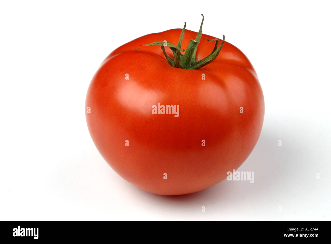 Tomato studio still life close up on a white background Stock Photo