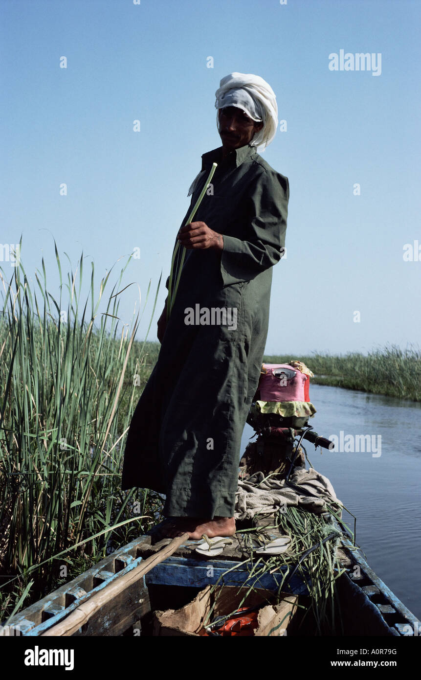 Grindly Marshes Iraq Middle East Stock Photo