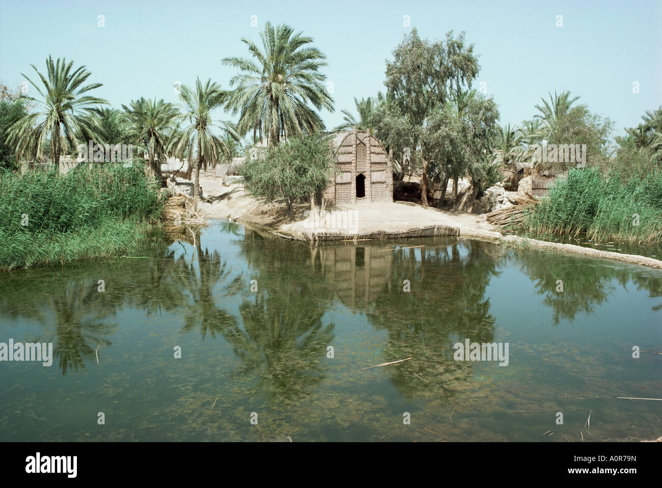 Suk esh Shiukh village Marshes Iraq Middle East Stock Photo