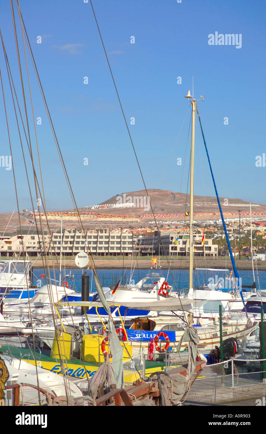 Fustes High Resolution Stock Photography and Images - Alamy
