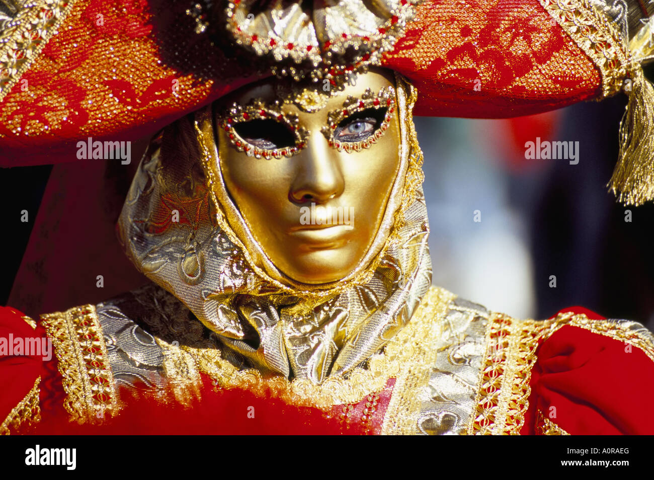Portrait of a person dressed in mask and costume taking part in