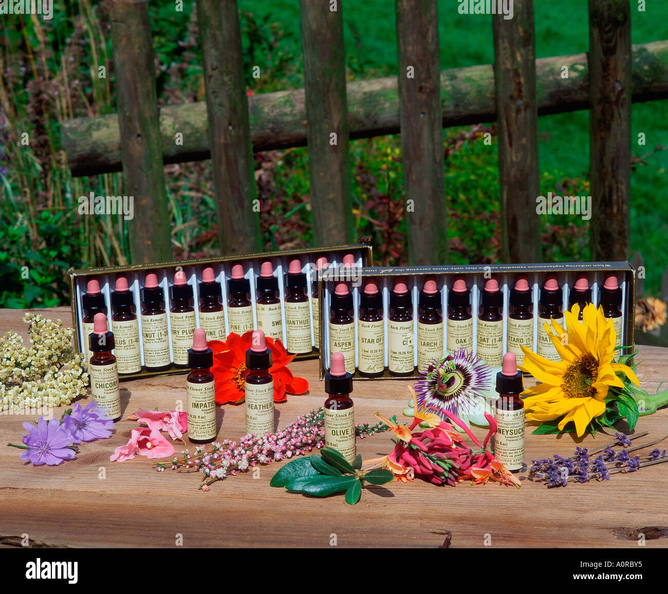 Bach Flower Stock Remedy Stock Photo - Alamy