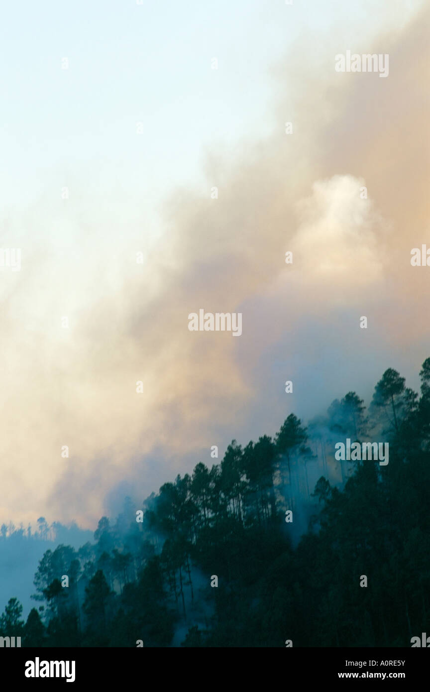 Forest fire in hills above Lake Atitlan Guatemala Central America Stock Photo