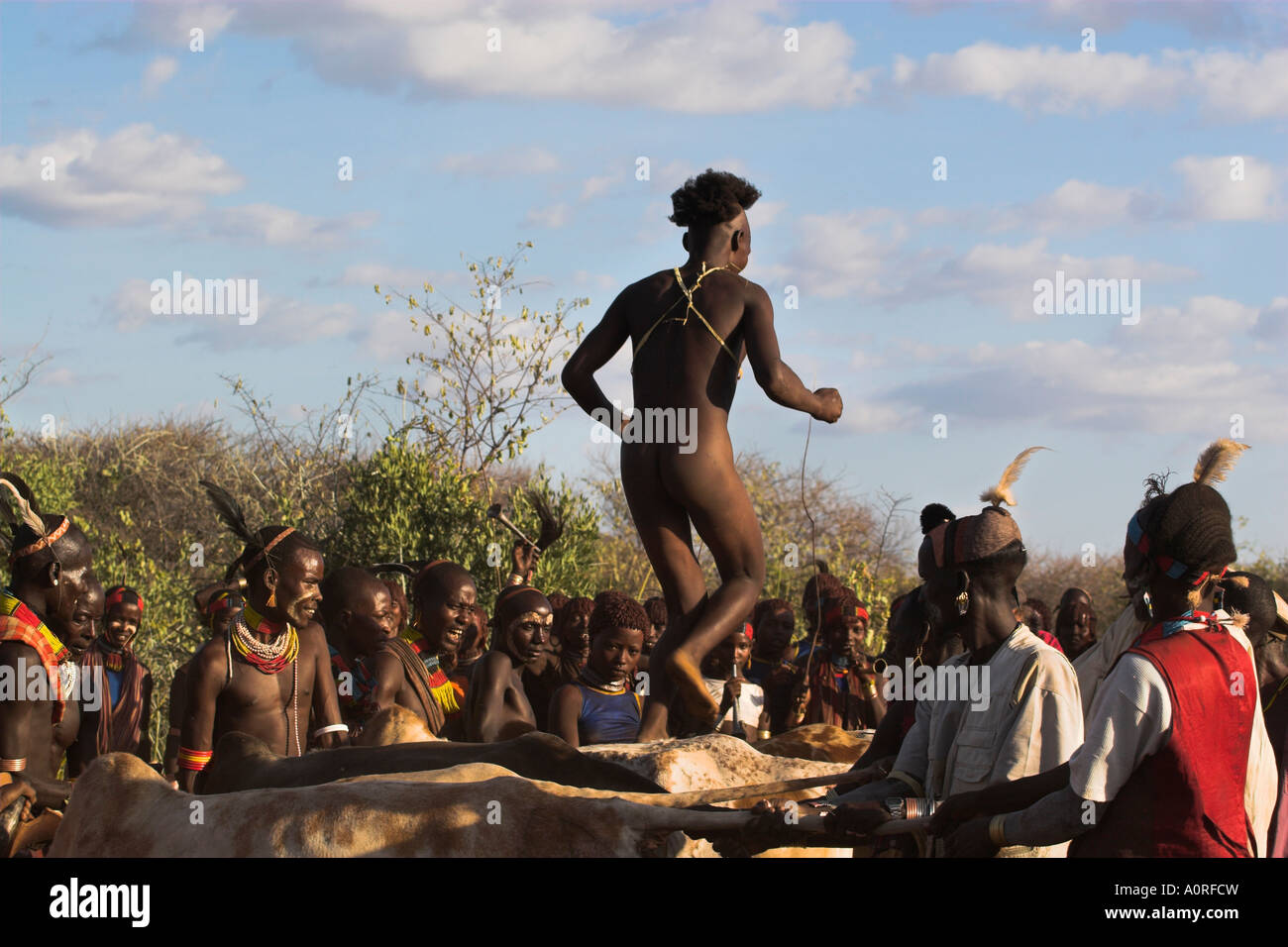 Hamer Jumping of the Bulls initiation ceremony naked initiate running