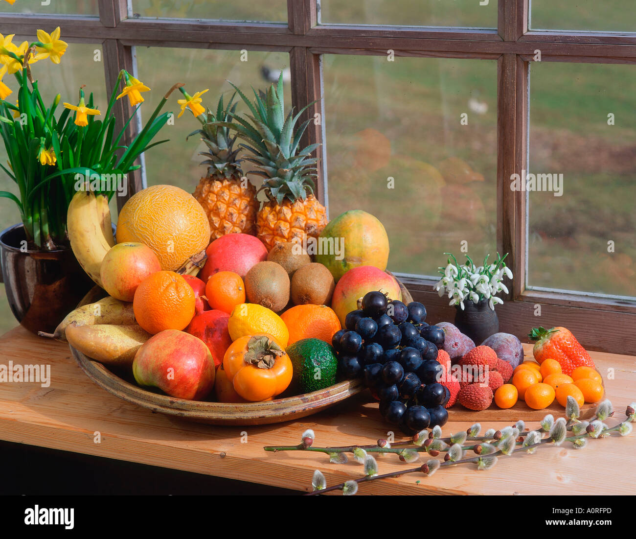 Fruits Stock Photo