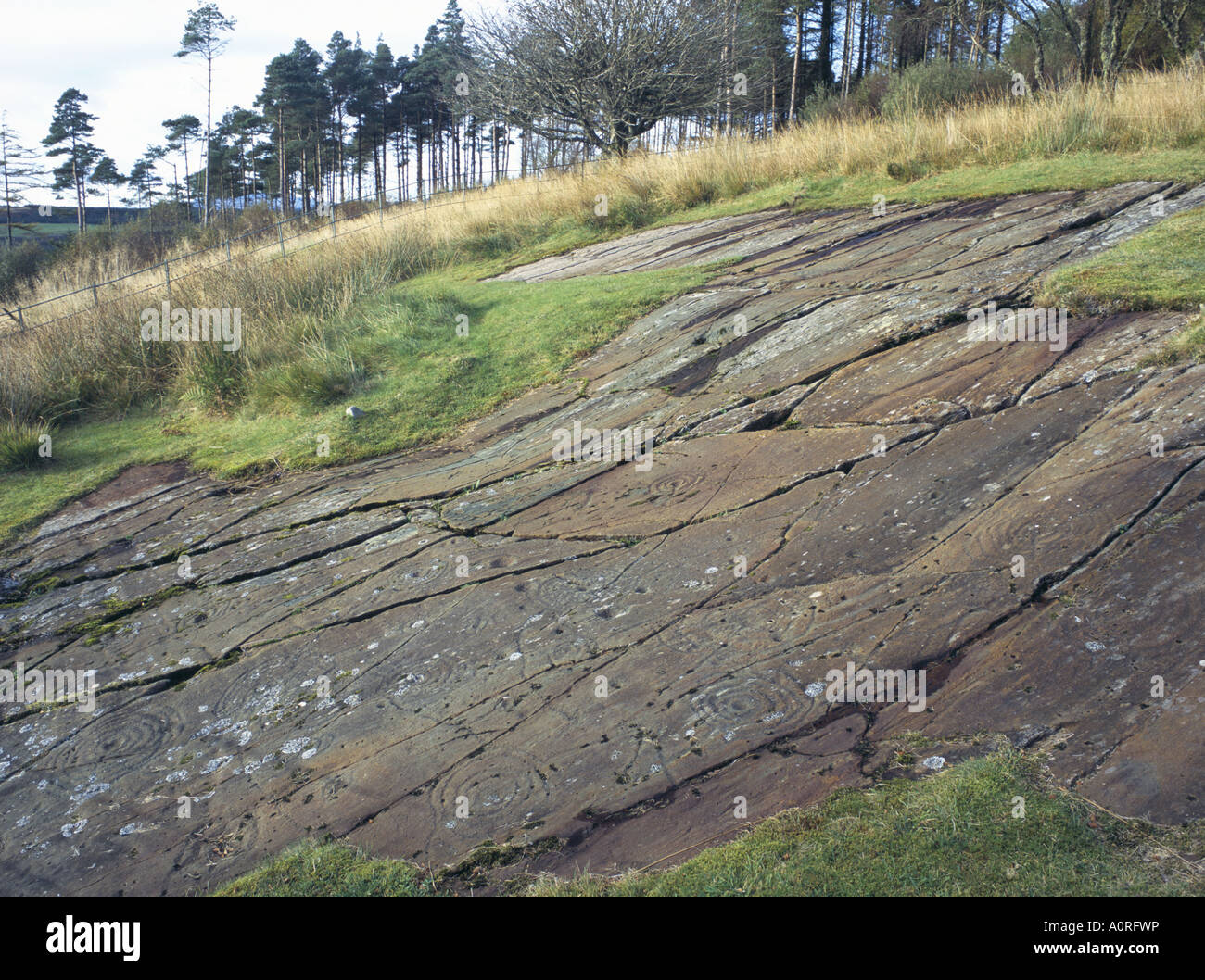 Cup and ring carvings the largest cluster of prehistoric cup and ring carvings in Britain Achnabreck Kilmartin Glen Argyll a Stock Photo