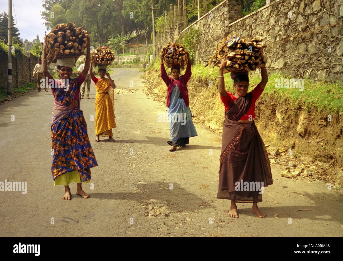 Group of women in traditional clothing carry heavy wood on head  Udhagamandalam Ootacamund Ooty Tamil Nadu India South Asia Stock Photo -  Alamy