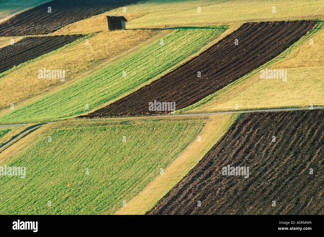 Agrarian Cut Out Stock Images & Pictures - Alamy