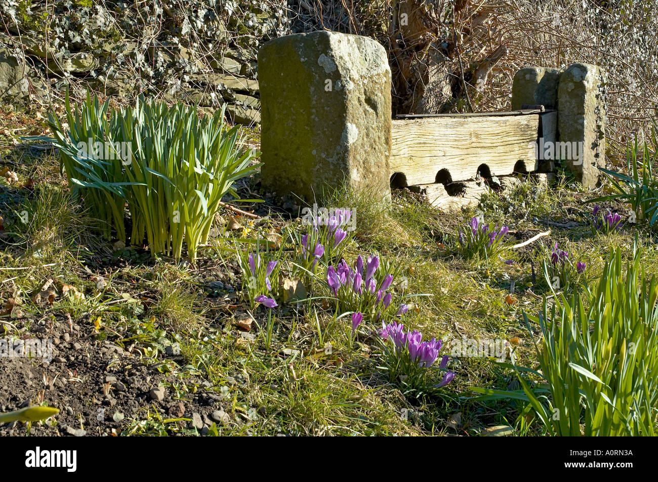 Medieval stocks hi-res stock photography and images - Alamy