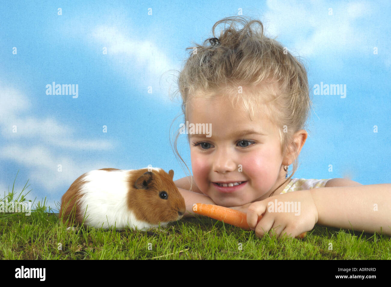 Child with Guinea Pig Stock Photo Alamy