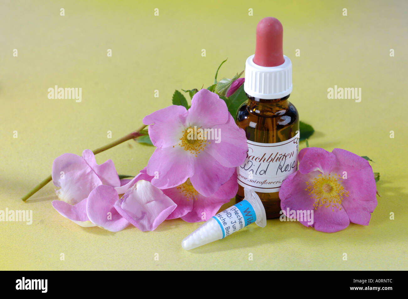 Bach Flower Stock Remedy Stock Photo Alamy