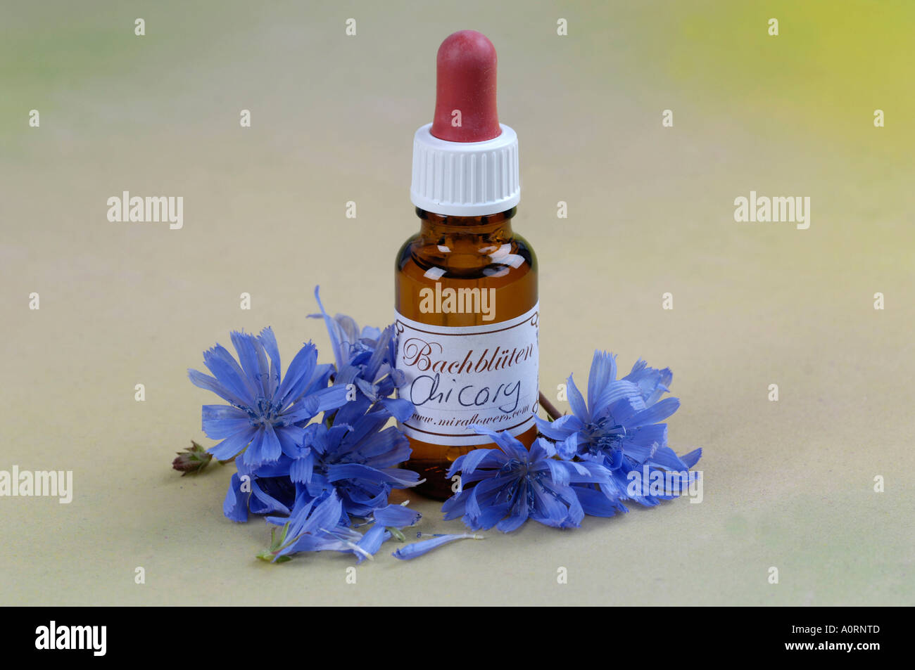 Bach Flower Stock Remedy Stock Photo Alamy