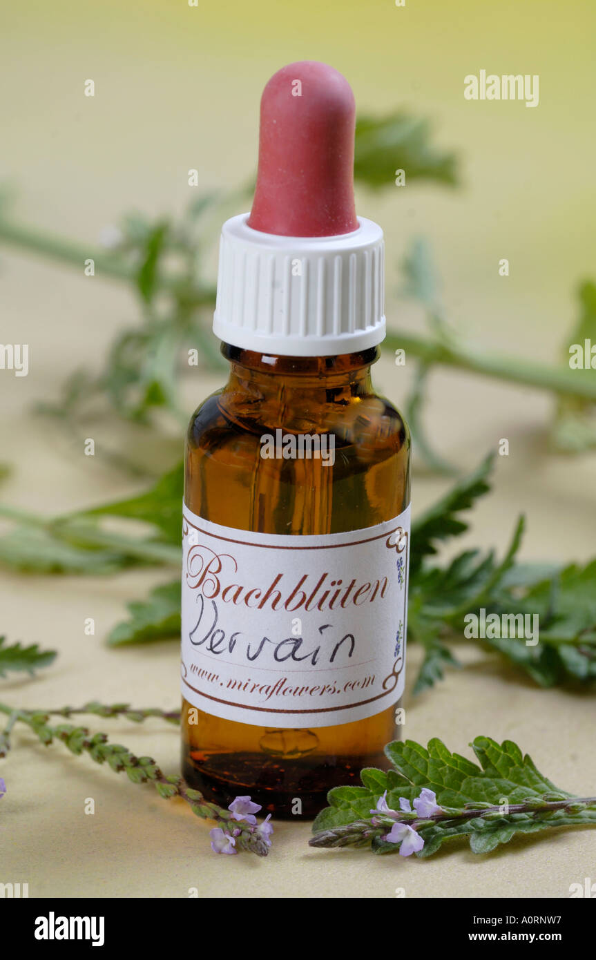 Bach Flower Stock Remedy Stock Photo - Alamy